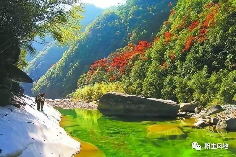 探索知识星球平台,享受精彩知识分享平面设计培训周末